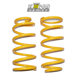 [KTRR-102] King Springs Rear  FJ/Prado 2010+ (Pair)