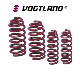 [953128] Vogtland Lowering Springs front & rear Ford Mustang 15+ 25mm